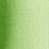  Maimeri Blu Professional Watercolor 12mL Sap Green 