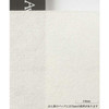 Awagami Papers Awagami Mulberry Paper - Off White - 25" x 33" 