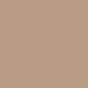 Sennelier Extra-Soft Pastel - Bronze Green Light 4 - 165