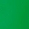 Liquitex - Basics Acrylic Fluid - 118ml Bottle -  Light Green Permanent