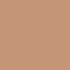  Sennelier Extra-Soft Pastel - Bistre 5 -063 