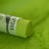 Sennelier Extra-Soft Pastel - Leaf Green 5 - 203