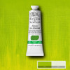 Winsor & Newton Artists' Oil Colors, 37ml, Cadmium Free Green Pale