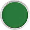 PanPastel Artist Pastel, 9ml, Permanent Green Shade PanPastel Artist Pastel, 9ml, Permanent Green Shade