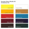 Daler-Rowney Georgian Water Mixable Oil Intro Set, 10 Color 20ml 