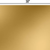 Jillson & Roberts Tissue Paper Pack, Metallic Gold