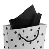  Jillson & Roberts Solid Black Tissue Paper 