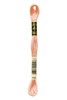  DMC Embroidery Floss, 754 Peach Light 