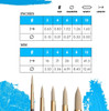 Princeton Artist Brush Company Princeton Brush Dakota Synthetic Hog Bristle, Series 6300, Round 4 