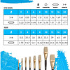 Princeton Artist Brush Company Princeton Brush Dakota Synthetic Hog Bristle, Series 6300, Flat 10 