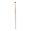 Princeton Artist Brush Company Imperial 6600 Bright 16