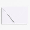 Waste Not Paper Company Waste Not Paper Envelope (A9/5x9), Assorted Colors