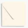 Waste Not Paper Company Waste Not Paper Envelope (Square 5.75), Assorted Colors