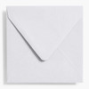 Waste Not Paper Company Waste Not Paper Envelope (Square 5.75), Assorted Colors