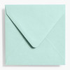 Waste Not Paper Company Waste Not Paper Envelope (Square 5.75), Assorted Colors
