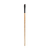 Princeton Brush Catalyst Polytip Bristle, Series 6400, Long Handle, Angle Bright 6