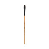 Princeton Brush Catalyst Polytip Bristle, Series 6400, Long Handle, Bright 10