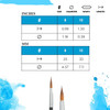 Princeton Artist Brush Company Princeton Brush Aqua Elite, Synthetic Kolinsky Sable, Series 4850, Rigger 12 
