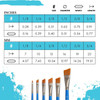 Princeton Brush Select Artiste, Series 3750, Angle Shader 5/8"