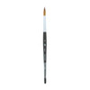 Princeton Artist Brush Company Aqua Elite 4850 Round 10