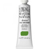 Winsor & Newton Artists' Oil Color, 37ml, Sap Green