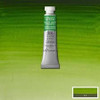 Winsor & Newton Professional Watercolor 5ml tube - Permanent Sap Green 