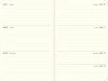 Cavallini & Co. 2027 Weekly Planner, Entomology