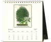 Cavallini & Co. 2027 Desk Calendar, Arboretum