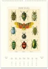  Cavallini & Co. 2027 Wall Calendar, Entomology 