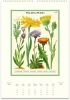  Cavallini & Co. 2027 Wall Calendar, Wildflowers 