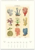  Cavallini & Co. 2027 Wall Calendar, Sea Life 