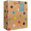 Jillson & Roberts Gift Bag, Medium, Party Dots