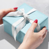 Jillson & Roberts Wrapping Paper Roll, Solid Matte Finish, Pastel Blue