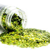  MakerFlo Glitter, 2oz., Chunky, Money 