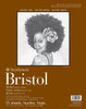 Strathmore Artist Papers Bristol Paper Pad - Series 400 - Smooth - 9 x 12 - 15 Shts/Pad