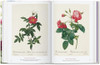 Taschen Redout. Book of Flowers (40th Anniversary Edition)