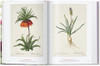 Taschen Redout. Book of Flowers (40th Anniversary Edition)