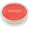 PanPastels - Permanent Rd Tint