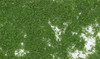  Woodland Scenics - Foliage - Medium Green 