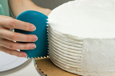 Catalyst Silicone Wedges Catalyst Silicone Wedges
