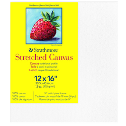 Strathmore 300 Series Stretched Canvas