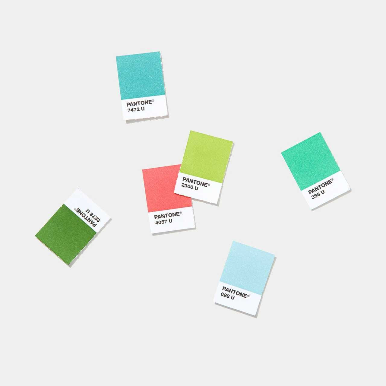 Pantone Solid Chip Set - Coated & Uncoated - Sam Flax Atlanta