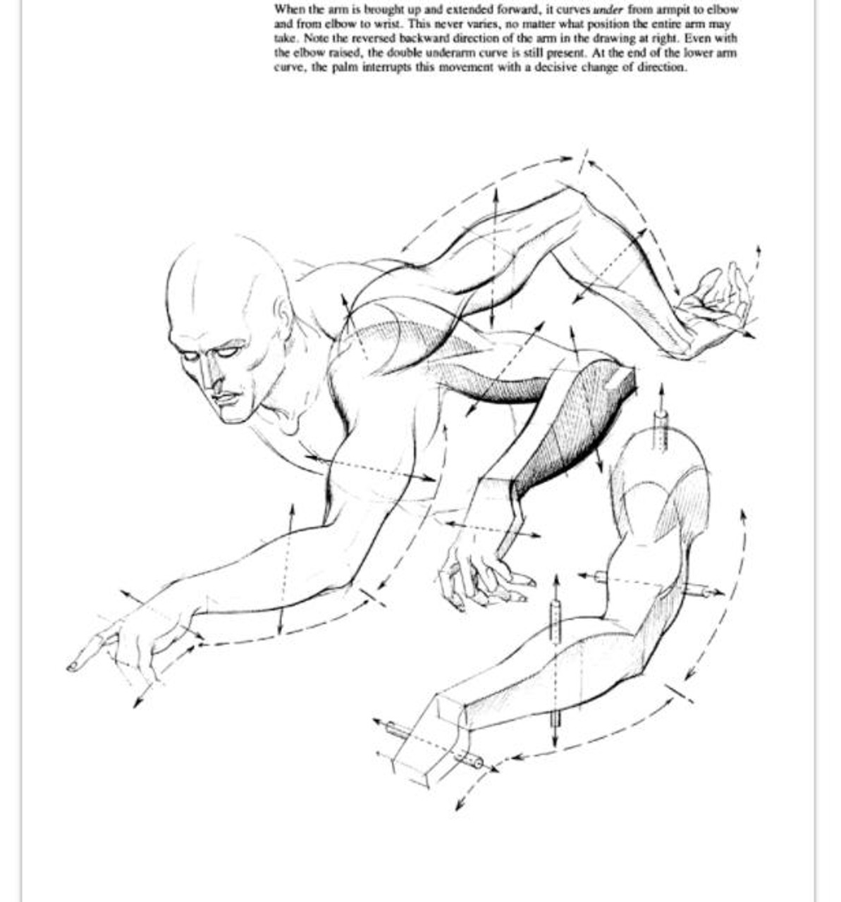 Dynamic Drawing Series: Drawing Dynamic Hands by Burne Hogarth