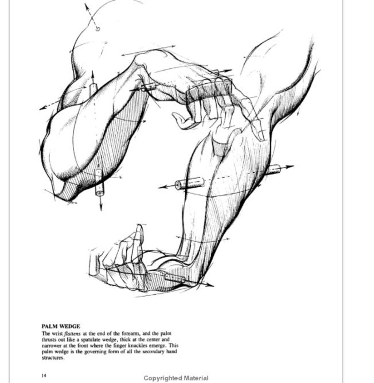 Dynamic Drawing Series: Drawing Dynamic Hands by Burne Hogarth