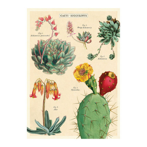 Cavallini Papers Cavallini & Co. - Decorative Italian Paper - Succulent 2