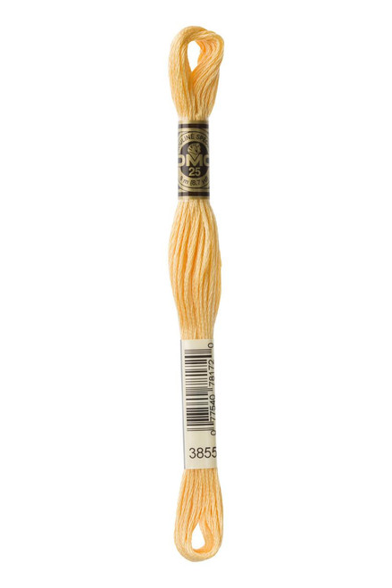  DMC Embroidery Floss, 3855 Autumn Gold Light 