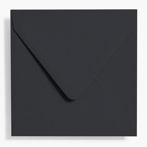 Waste Not Paper Company Waste Not Paper Envelope (Square 5.75), Assorted Colors