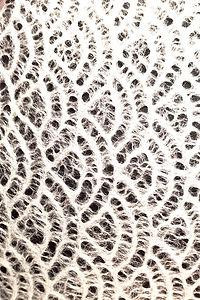 Aitoh Co Aitoh Japanese Decorative Paper, Seigaiha - Ocean Wave Lace, 21.5"x31" 