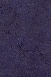 Aitoh Co Aitoh Lokta Decorative Paper, Dyed - Indigo, 19.5"x29.5" 