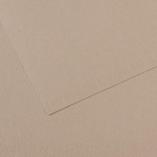 Canson - Mi-Teintes Paper Sheet - 19" x 25" - Flannel Gray Canson - Mi-Teintes Paper Sheet - 19" x 25" - Flannel Gray